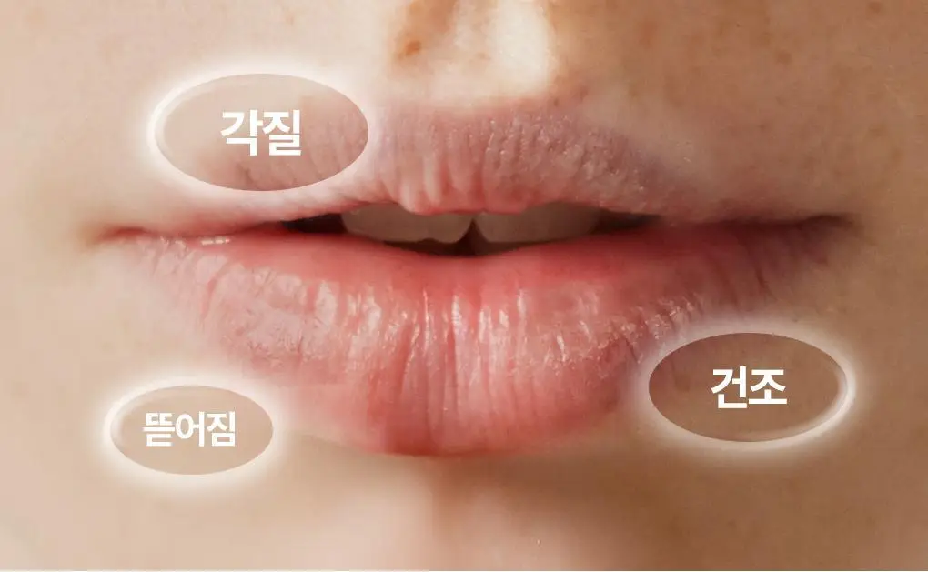 [NEW] 브링그린 대나무 히알루 립 에센스 스틱 3.5g 상세페이지 5